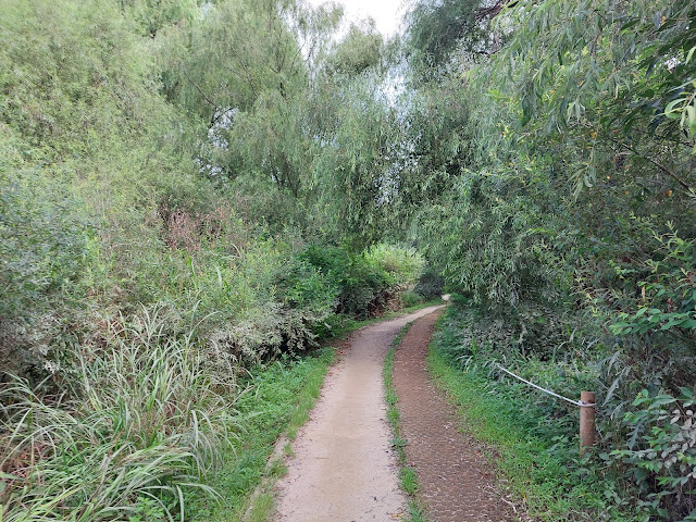 한강 암사생태공원 산책로 모습