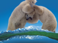 [HD] Alaska: espíritu salvaje 1998 Ver Online Subtitulada
