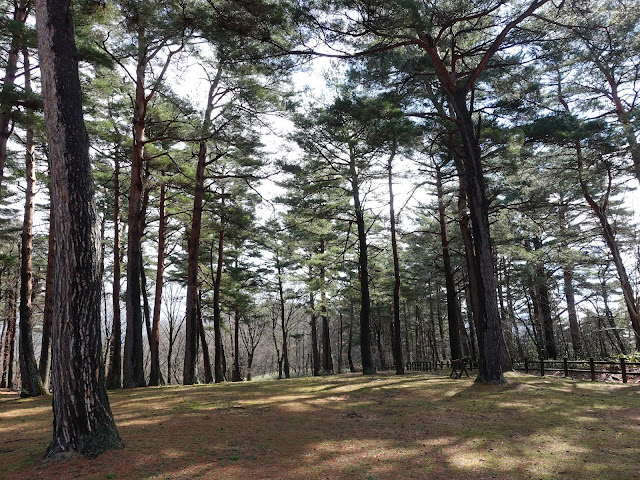 鳥取県西伯郡伯耆町丸山　ふれあいの森キャンプ場