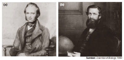 Charles Darwin dan Rulles Wallace