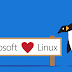 Microsoft Joins The Linux Foundation — Turns Honey Thing Into A Relationship