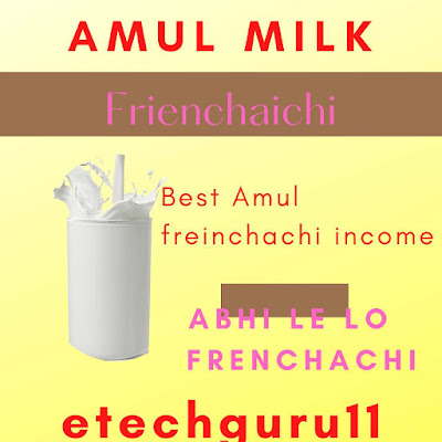 Amul frenchaichi small business ideas in home