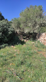 Barrera de palet que corta el camino y hay que atravesar