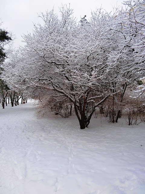 Zima na osiedlu Ostrobramska