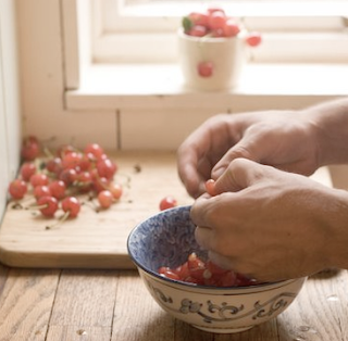 Sour cherry (Prunus cerasus)