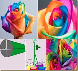 424495_360234440763645_663338660_n