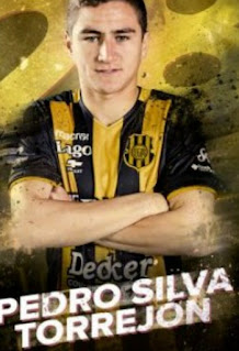 Pedro Silva Torrejon - Player Profile, Contract, Salary, Net Worth, Playing Statistics And Achievements