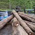Treler bawa muatan kayu balak terbalik, Jalan Gua Musang- Kuala Krai alami kesesakan teruk (6 Gambar)
