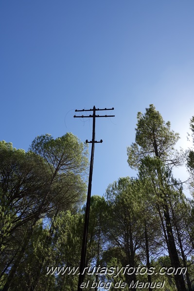 Río Tinto: Nerva - Estación de Berrocal