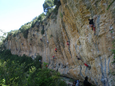 Tipos de escaladores