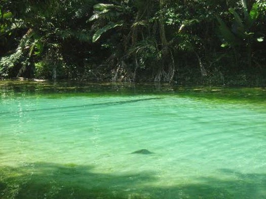 Igarapé-Açu, Santarém - Parà