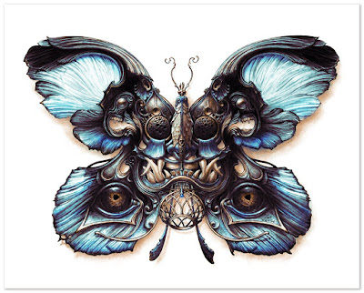 Lepidoptera 4 & 5 Giclee Prints by N.C. Winters