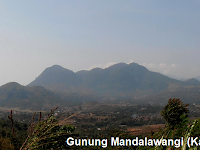Profil Gunung Mandalawangi 1650 mdpl - Jawa Barat