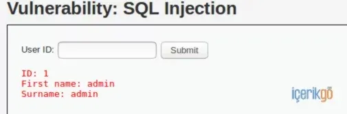 Uygulamalı SQL Enjeksiyon Saldırılar