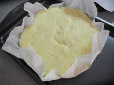 Chinese Steam Cake 400
