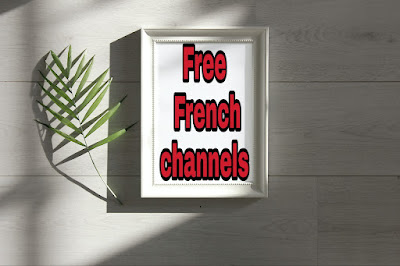 Free French channels and what satellite to capture them?