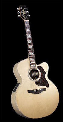 Acoustic Electric Guitars