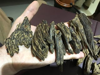 Agarwood and Walla patta in Sri Lanka