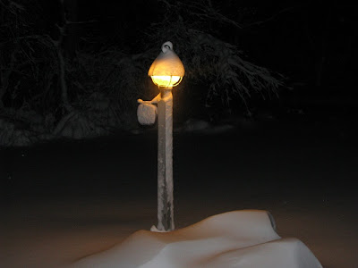 Snowstorm in Eastham, Cape Cod