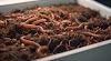 Simple Methods for Creating Vermicompost in Your Home – Step by Step Guide