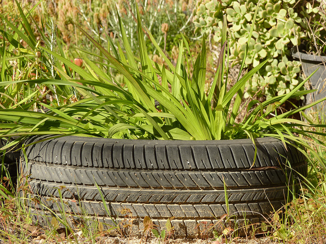 Floreiras feitas com pneus reciclados