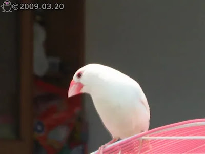 ....