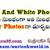 Black and White Photos ని అతి సులభం గా Colour  Photos గా మార్చటం ఎలా ?