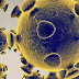 Virus Nipah Renggut Nyawa Manusia, Ini Fakta-faktanya