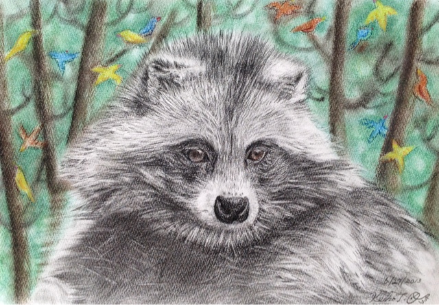 Usa Fur Farming List Opossum Raccoon Mink Red Gray Fox Beaver Muskrat Badger River Otter And Weasels Mink And Fox Save Wonderful Nature And Animals Art