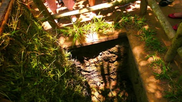 P1060186