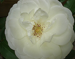 P5180028