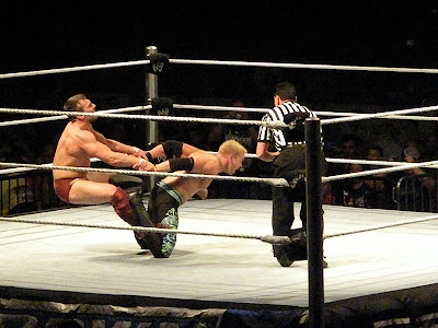 Daniel Bryan WWe Wrestler