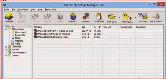 Internet Download Manager 6.18 Build 12 Full Patch