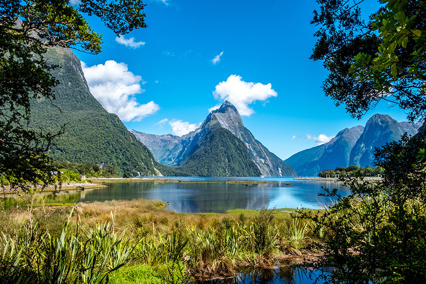 The Peaceful Landscapes of New Zealand