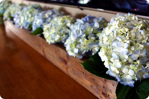 trough of hydrangeas