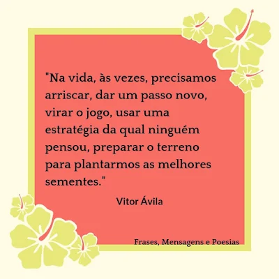 Frase de Vitor Ávila