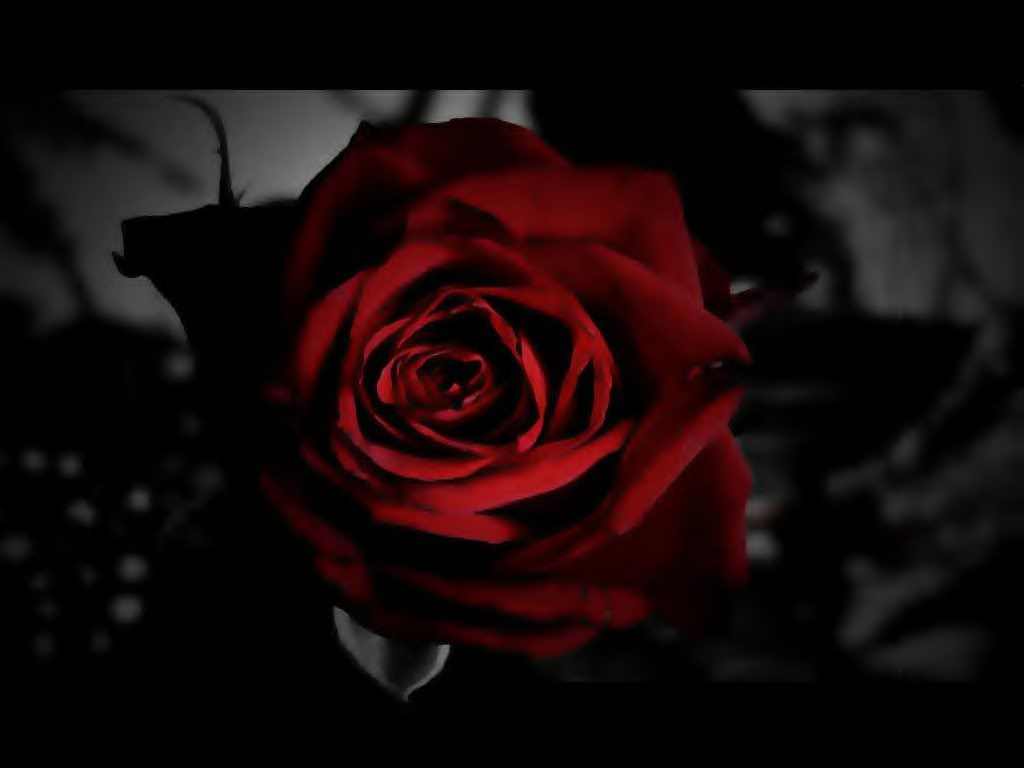 Imagenes De Rosas Goticas - imagenes de rosas goticas con frases y movimiento 