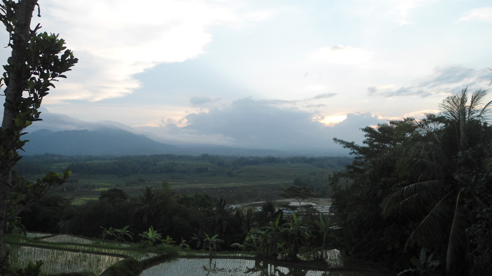 Pemandangan Alam Sawah Dan Gunung Nan Alami Di Secang At Wisata