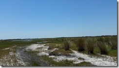 View towards river