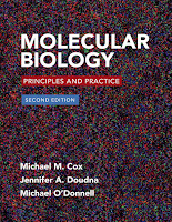 Molecular Biology 2e Cox test bank