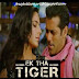  Ek Tha Tiger Indian Movie Torrent 697 Mb Only