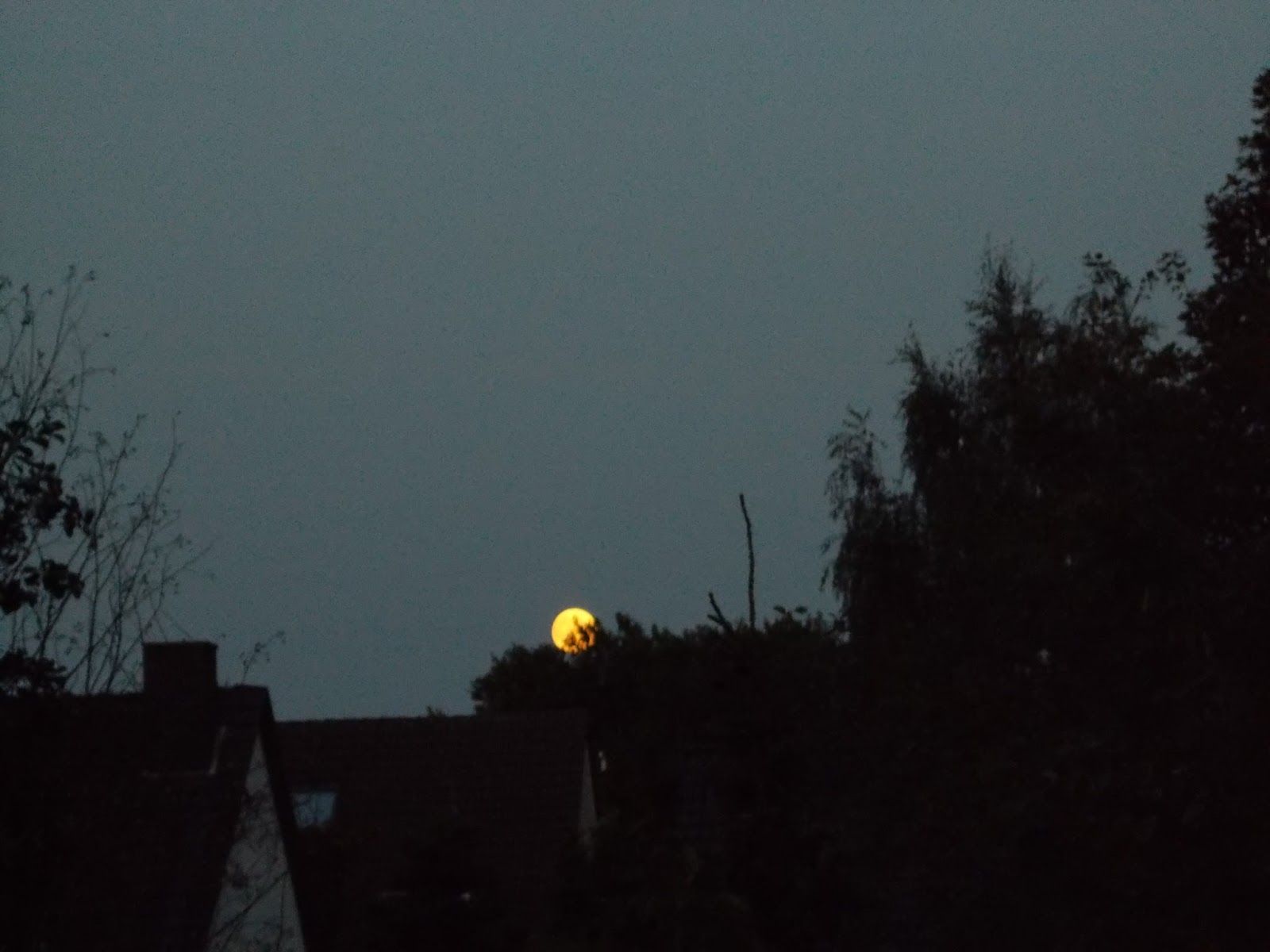 Passenderweise ist auch morgen zur Veröffentlichung der kleinen Kirmes am Schloss Borbeck Vollmond passt ja dann echt gut zum erstgenannten Titel hihi