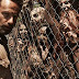 Watch The Walking Dead Season 6 Streaming Online - All Episodes