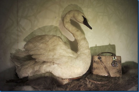 Lady-Dior-new-bag-4