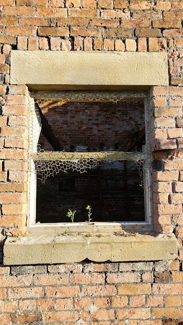 Window Detail at the Abandoned Property Low Moss House