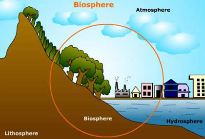 Image result for What is the biosphere?