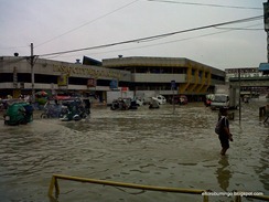 IMG00393-20120813-1243
