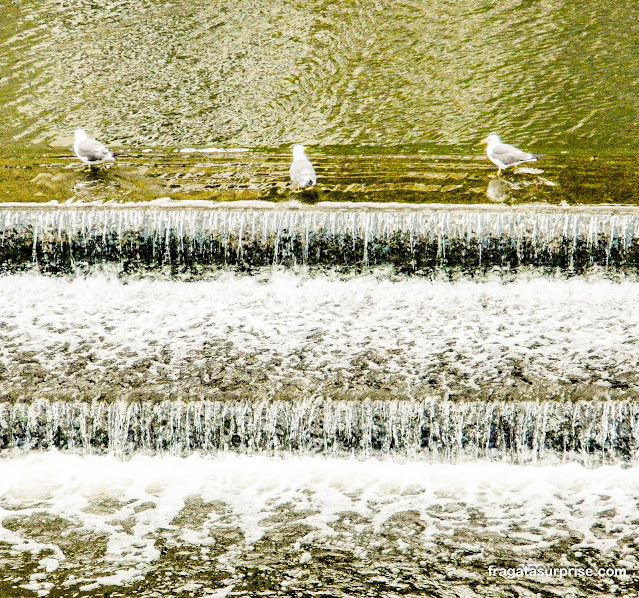 Corredeiras do Rio Avon em Bath, Inglaterra