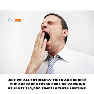 Are we all extremely tired and bored? The average person ends up yawning at least 250,000 times in their lifetime.