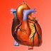 Rare surgery In Medical Science : Part of heart, lung, blood vessel removed